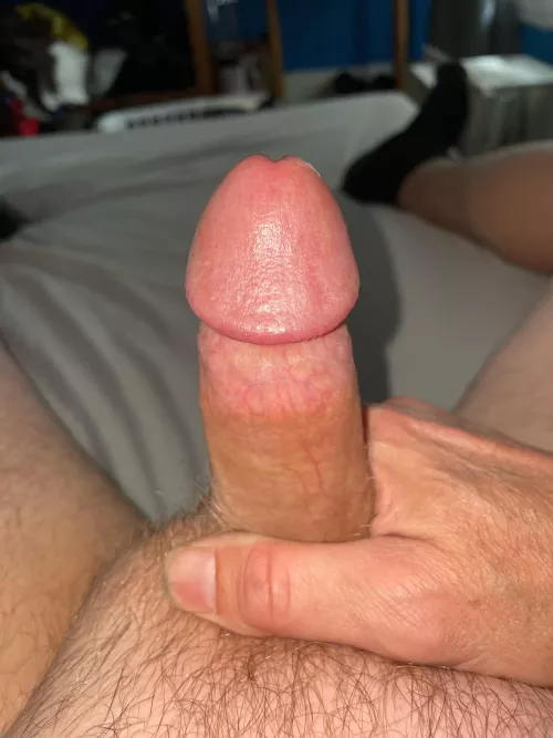 Is this cut ok? by shrews26