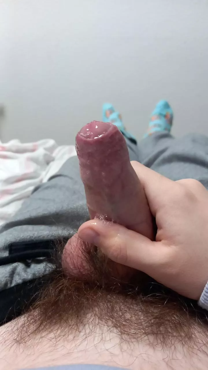 Leaky posted by puugispupi