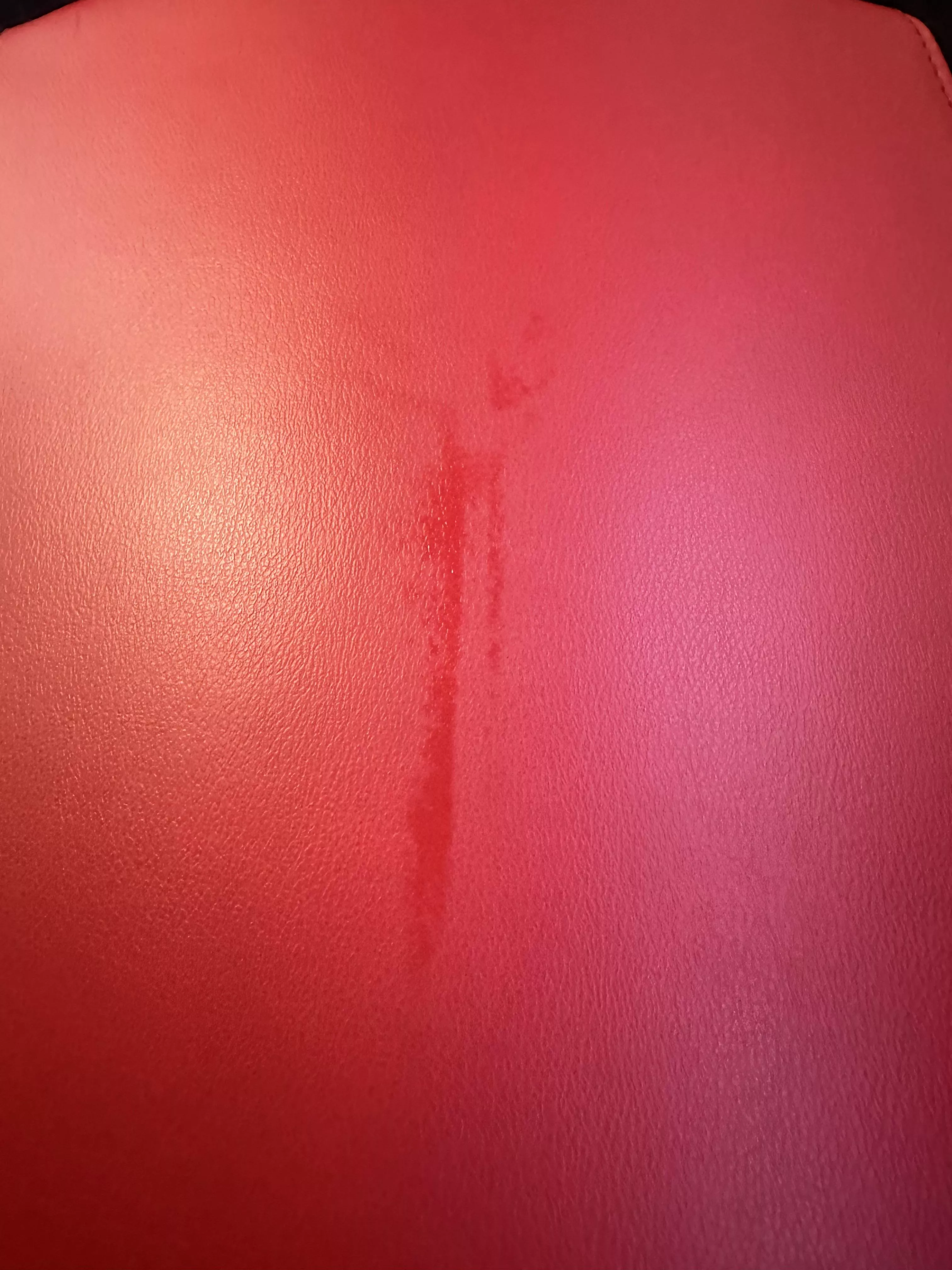 Leaving snail trails at the gym, oops 😈 posted by Lexiefitxo