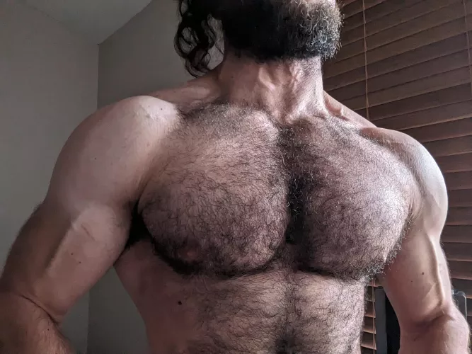 Not too wild. But hopefully worth a look [30] by ProfessionalBench572