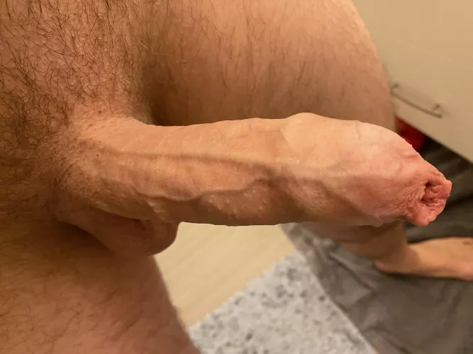 One long covered cock by Novel-Wallaby7745