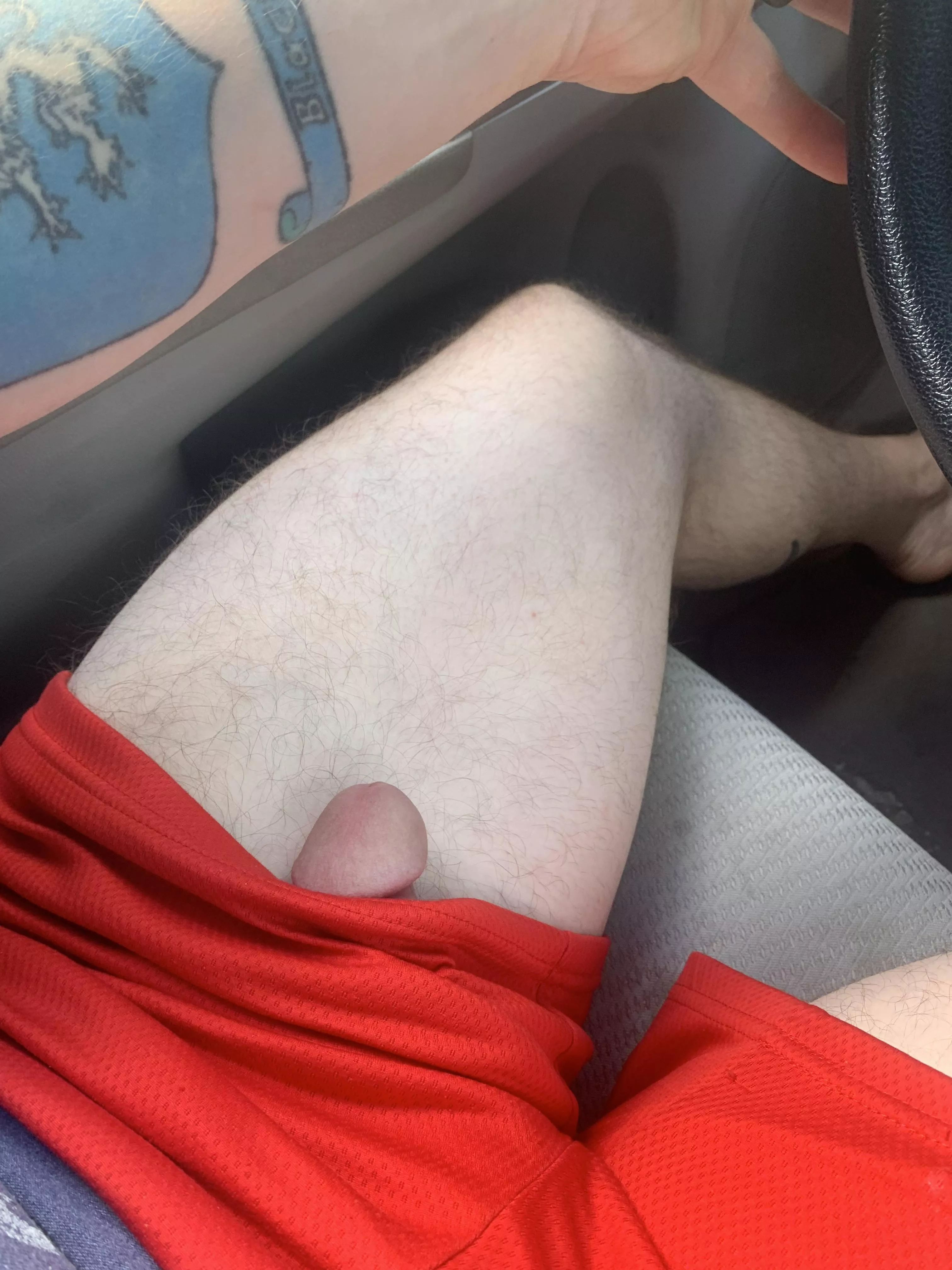 Slipped out of my shorts while I was driving posted by OstrichOwn2846