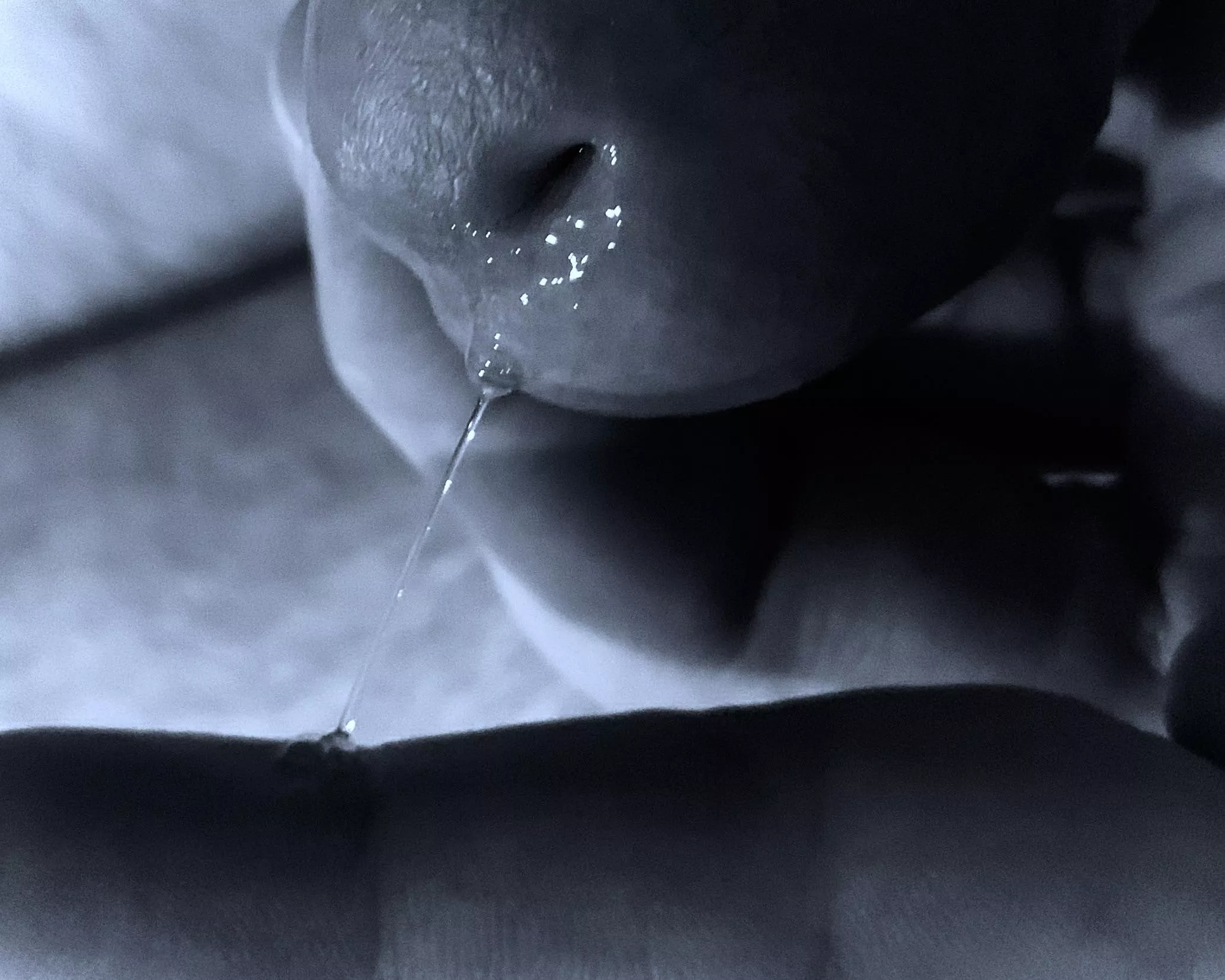 sweet anticipation posted by redalt01