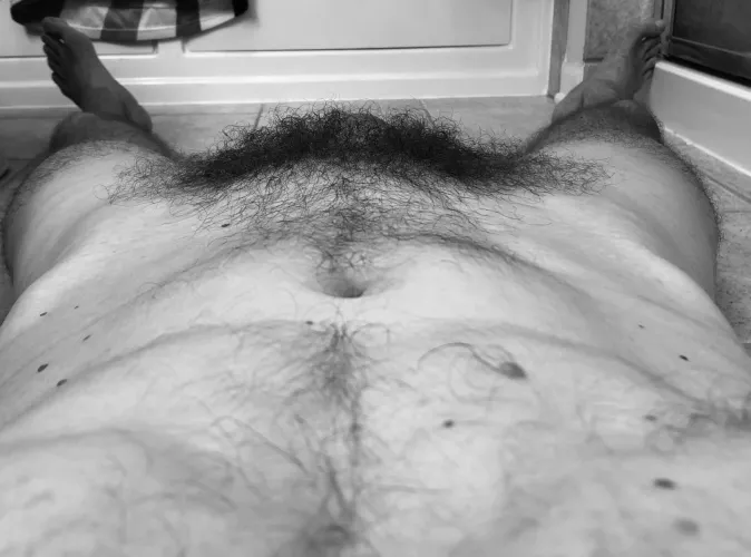 The forest by Thoughtful-thoughts