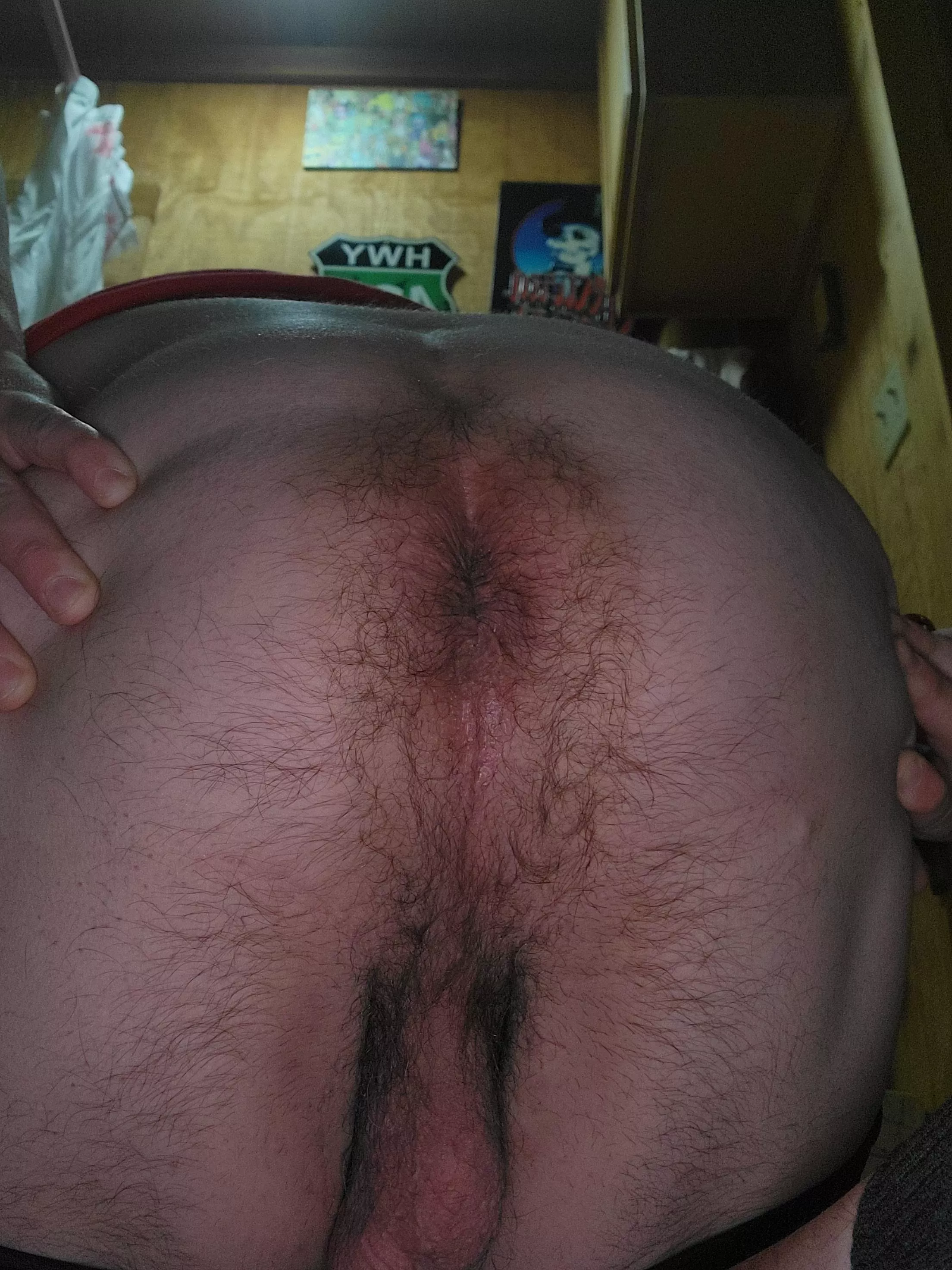 [45] spreading my hairy ass for you posted by shawngooch