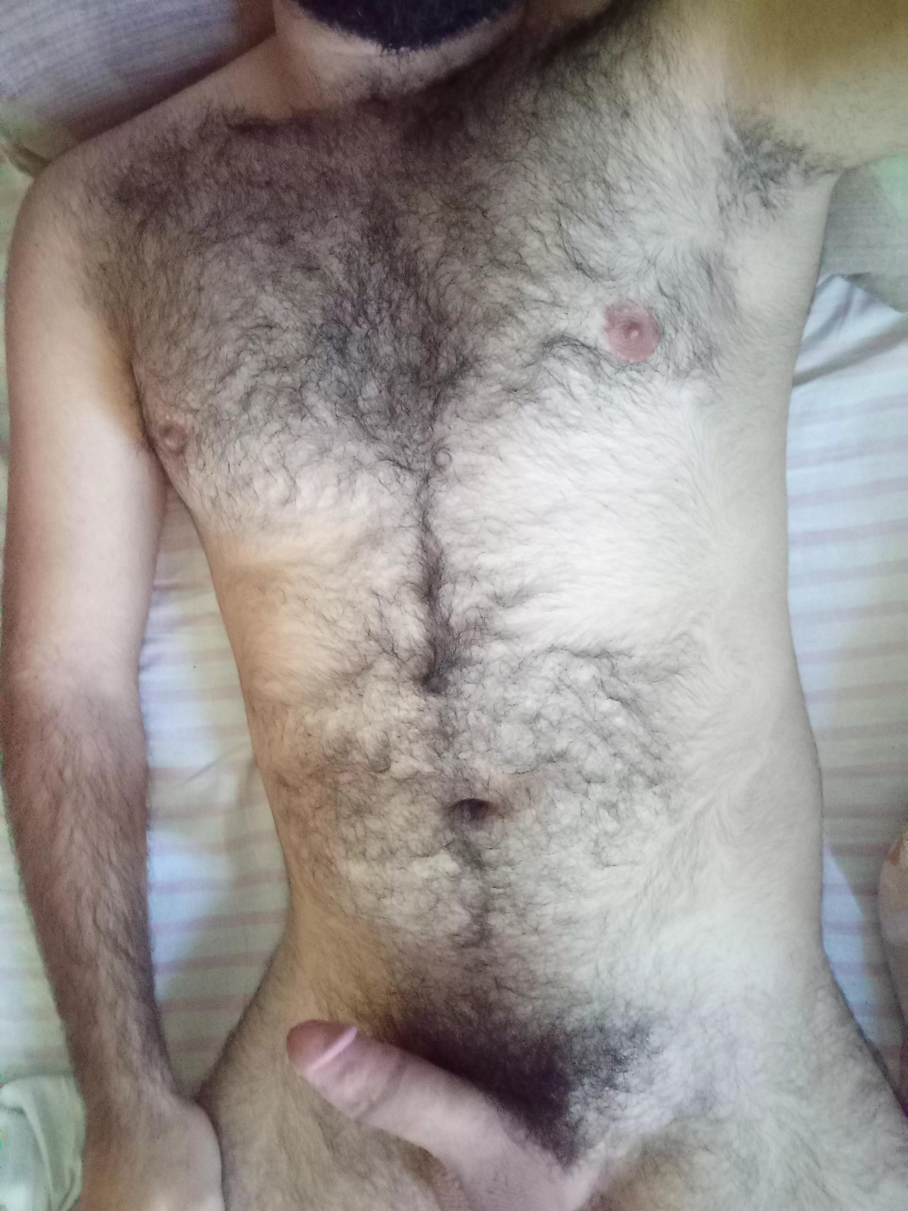 Any bear like to share me my bed? posted by gggoolldd1007