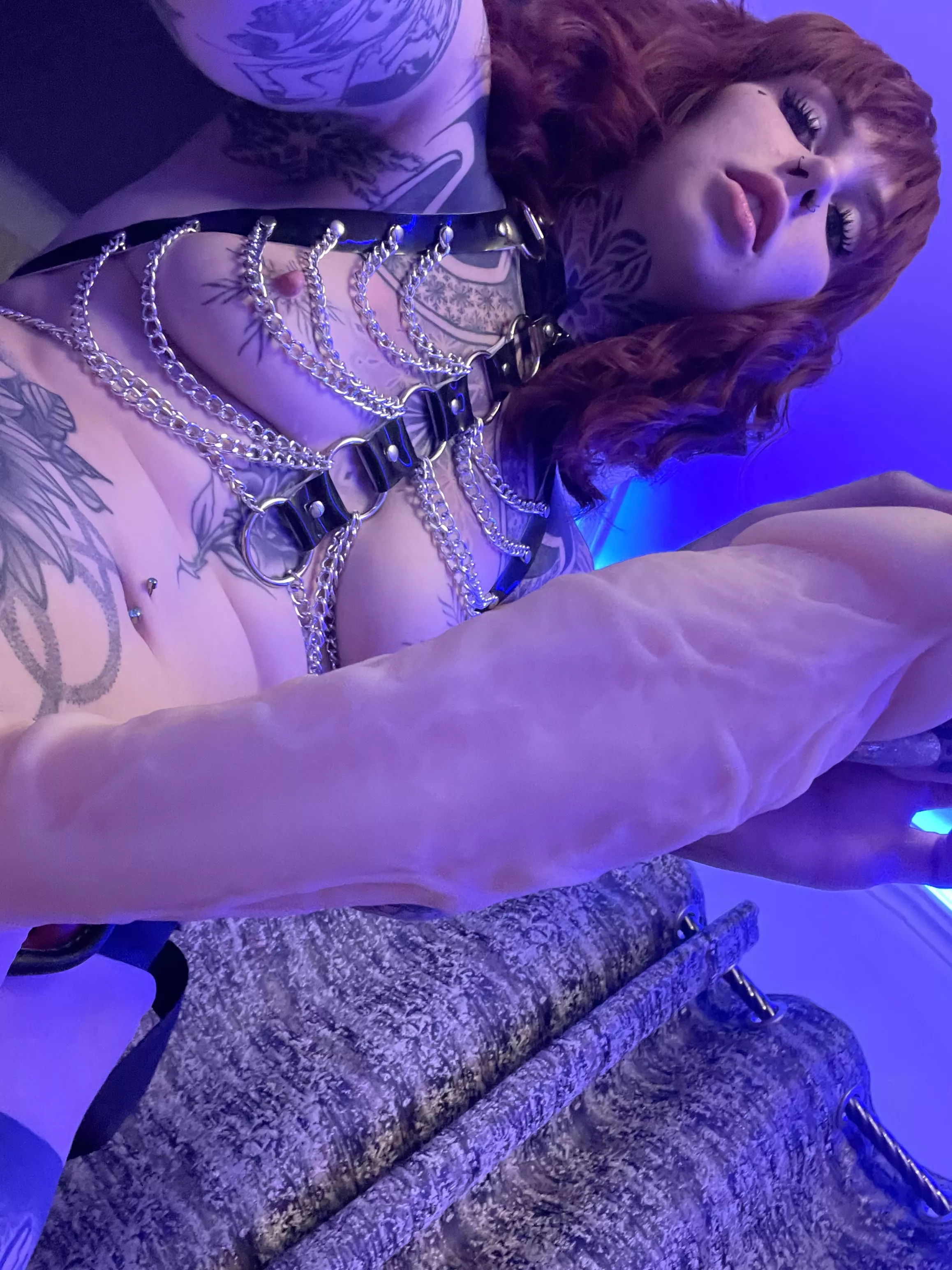 Could u handle me pegging u every day? posted by SGracelyn