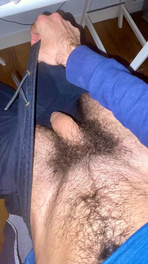 I always love to surprise other guys with how hairy I am down there by EverlastingEdgar
