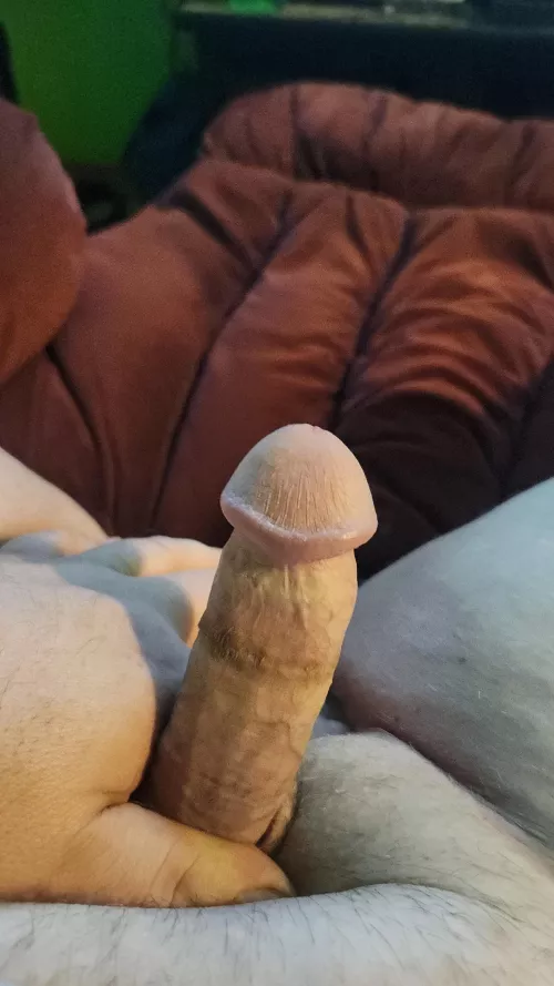 It's not much but I got a good tongue by drunkbastard069