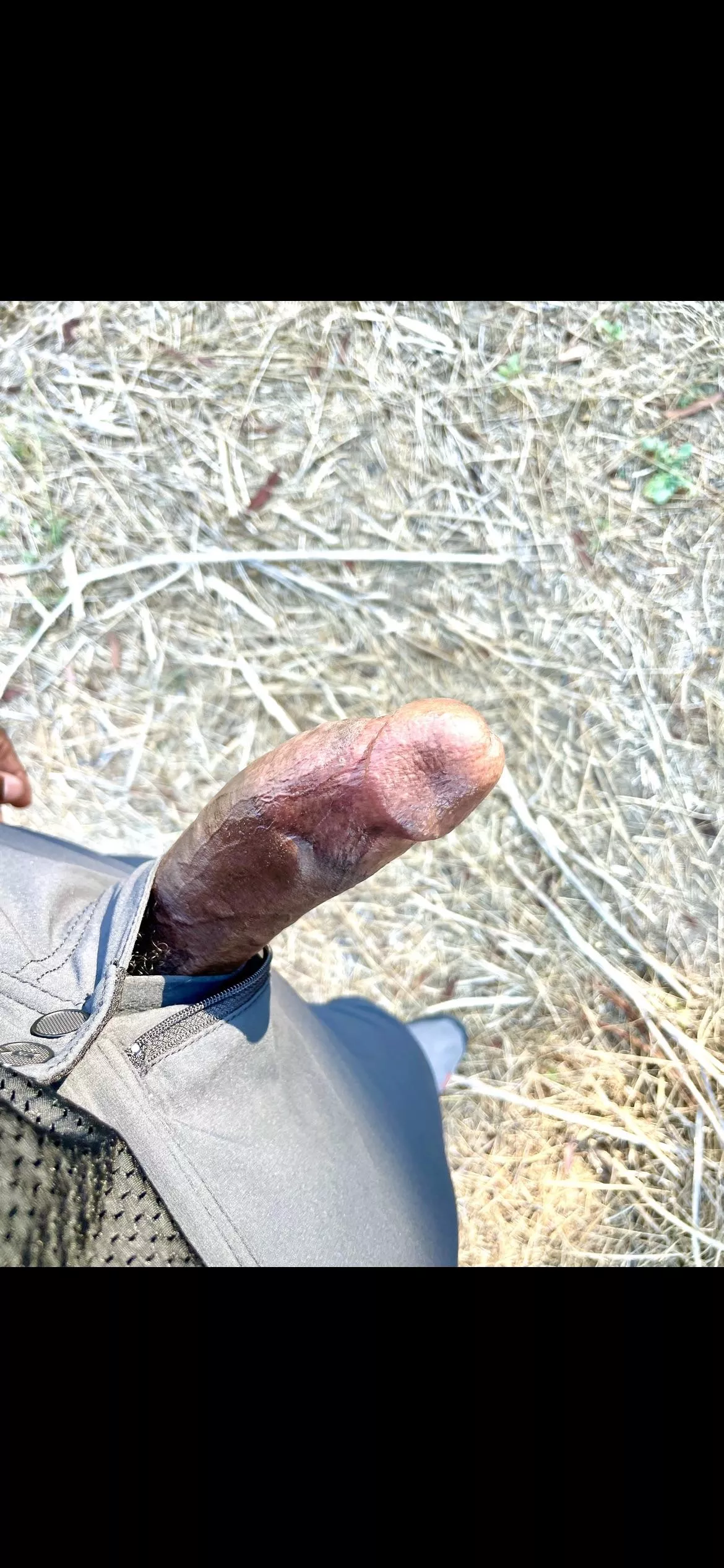 Needed to let him breathe on the trail posted by ProfessionalLemon558