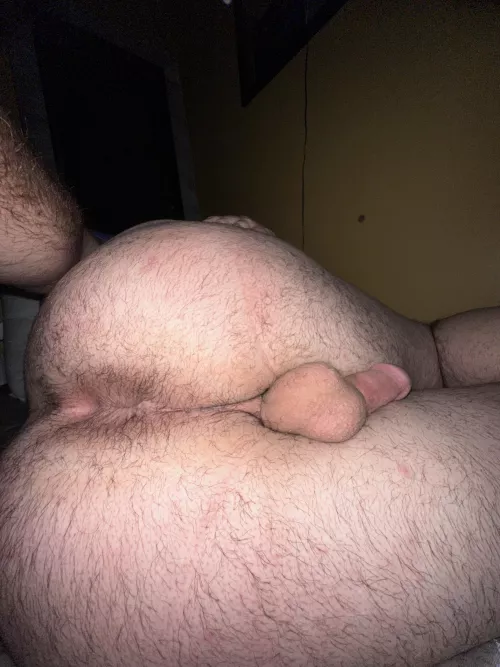 Should I let it grow out more or should I shave? (22) by Reynolds763