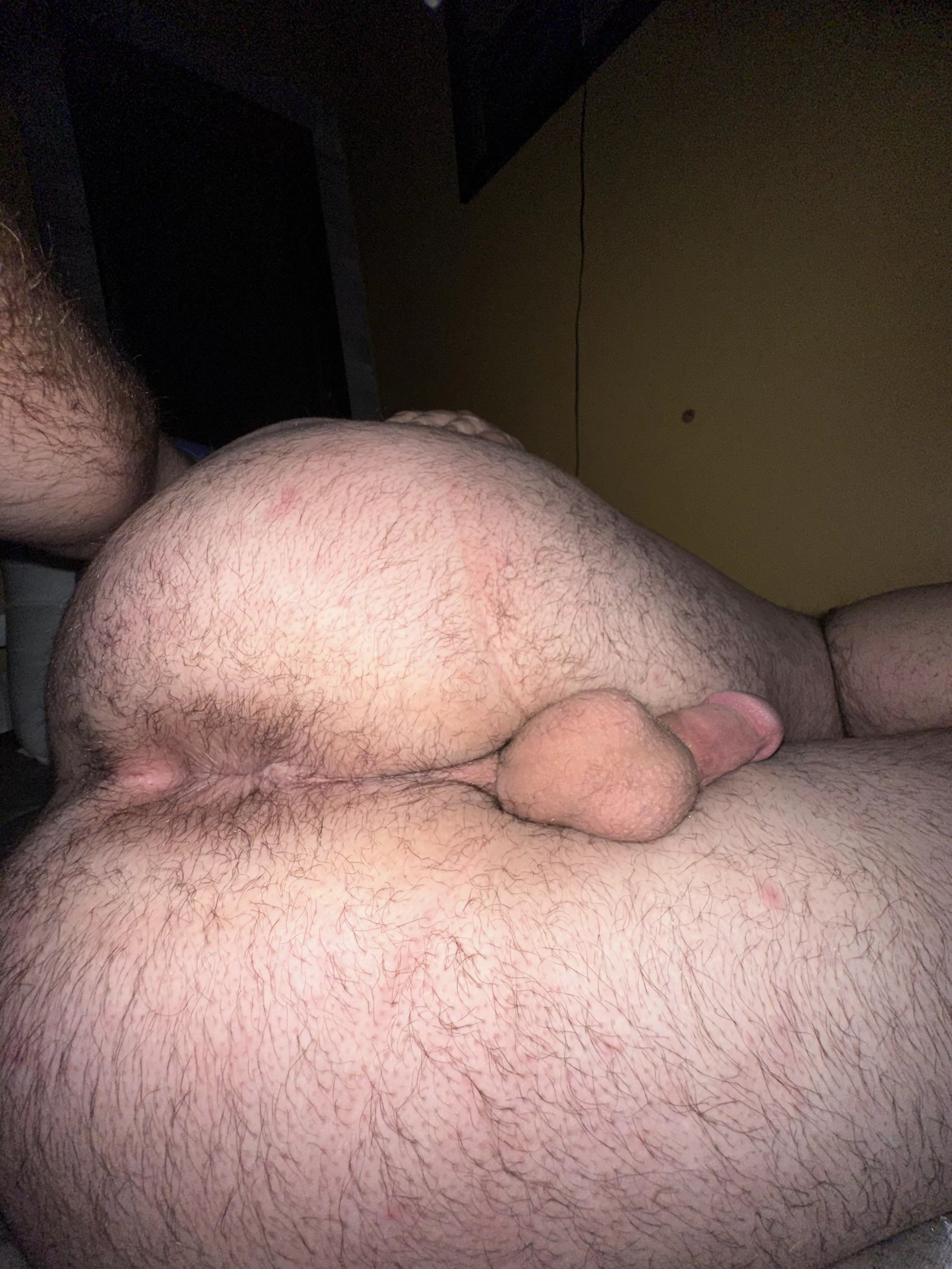 Should I let it grow out more or should I shave? (22) posted by Reynolds763