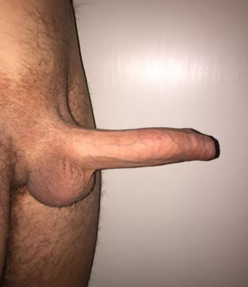 Think you can take all 8 inches? by Low-Buy-6288