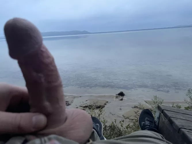 What would you do if you came across me? by tlbbinthewoods