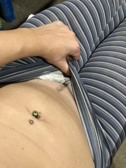 budding hairy cat! by victoryahunter91