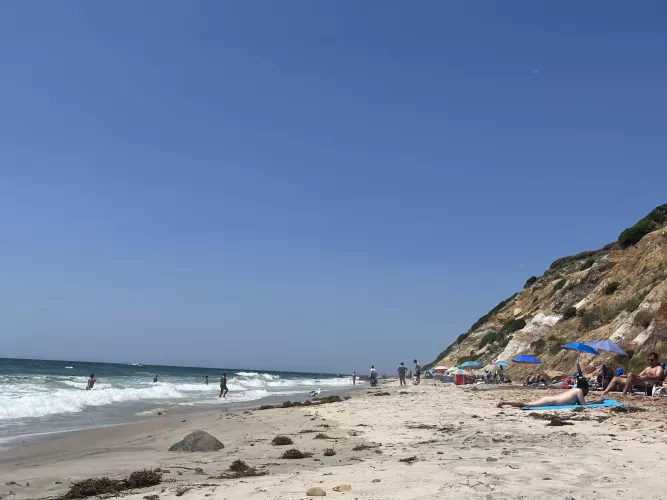 Come join r/moshupbeach if you are planning on going or have ever been on Martha’s Vineyard! by Immediate-Grocery-38