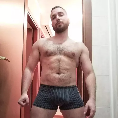 Do I fit the bill to be a bear ? by BarrattC85