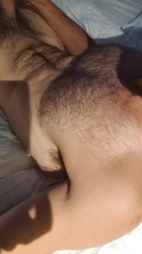 Good morning boys by jrpopov