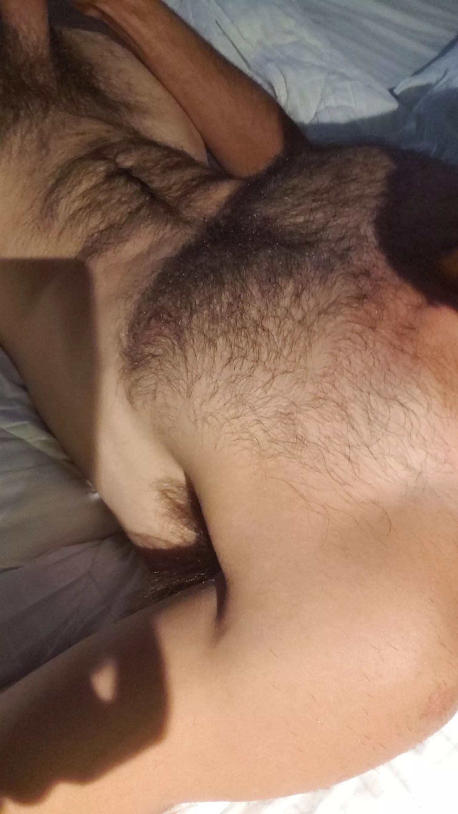 Good morning boys posted by jrpopov