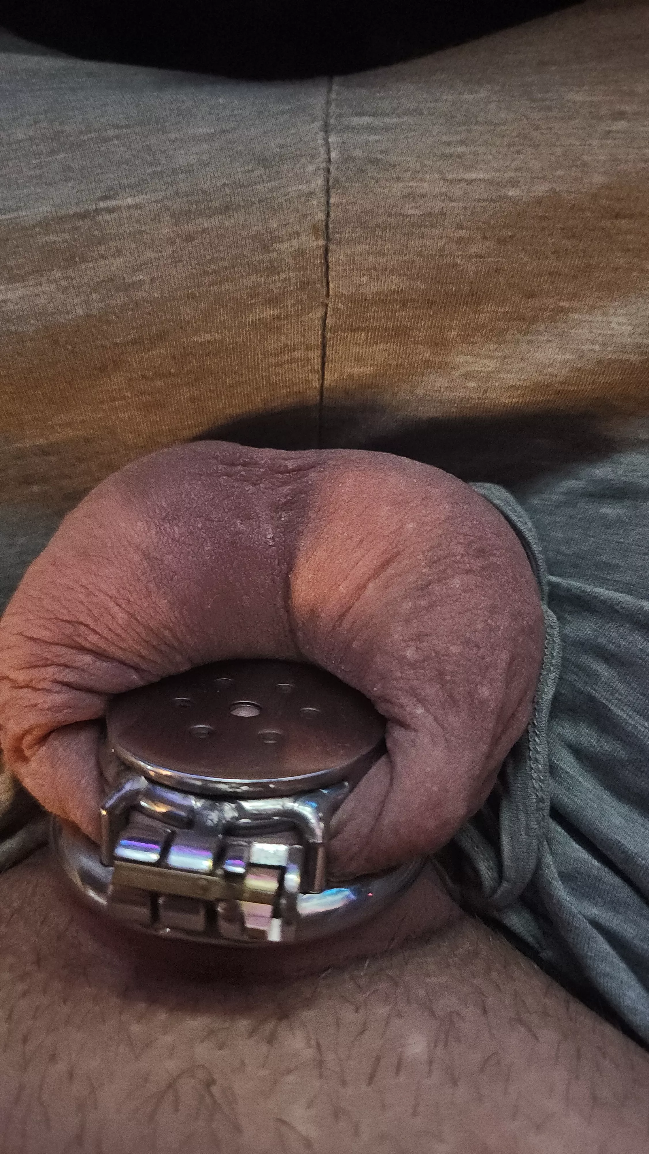 I haven't posted in a while but still going strong with locktober posted by Smooth_Rider69