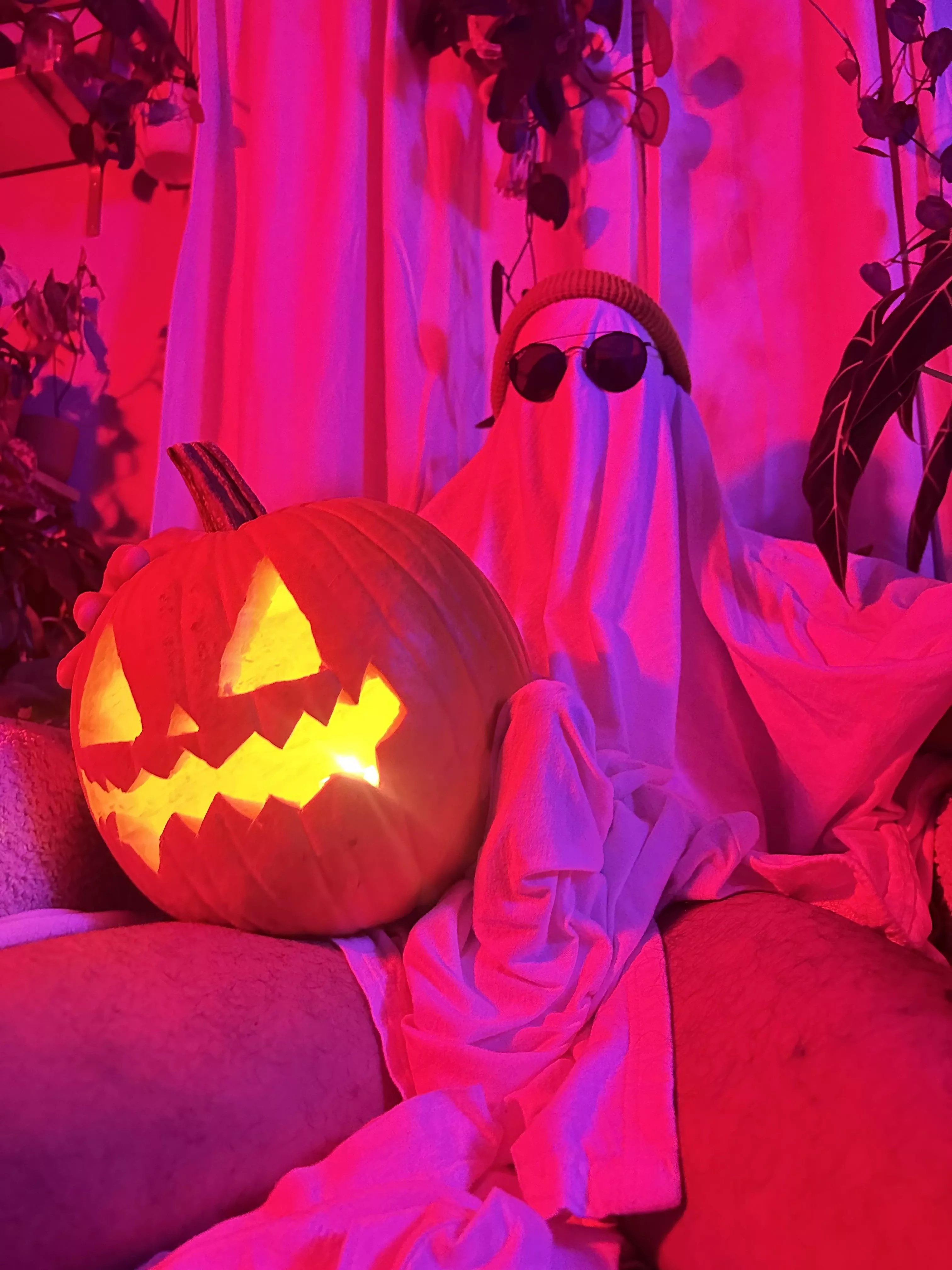 It’s a Boo-ner posted by davidngl