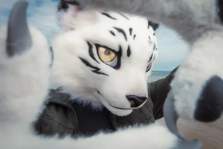 @KureiShyu on Twitter by Dragoniel