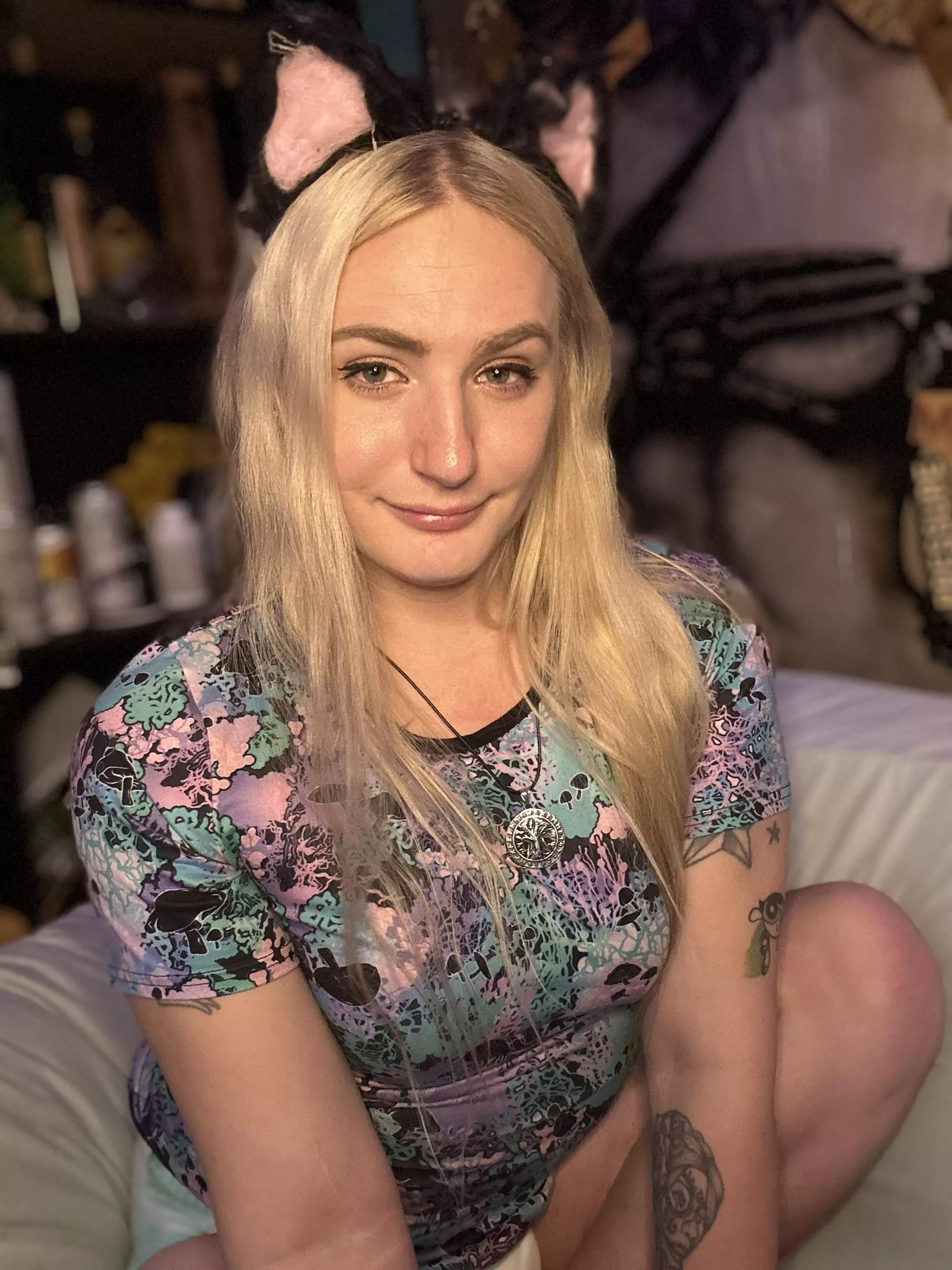 Meow posted by paddeddip