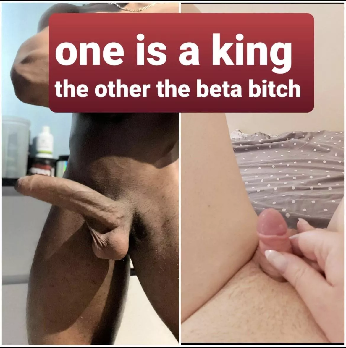 The king rules, the beta serves posted by Elixurgurl