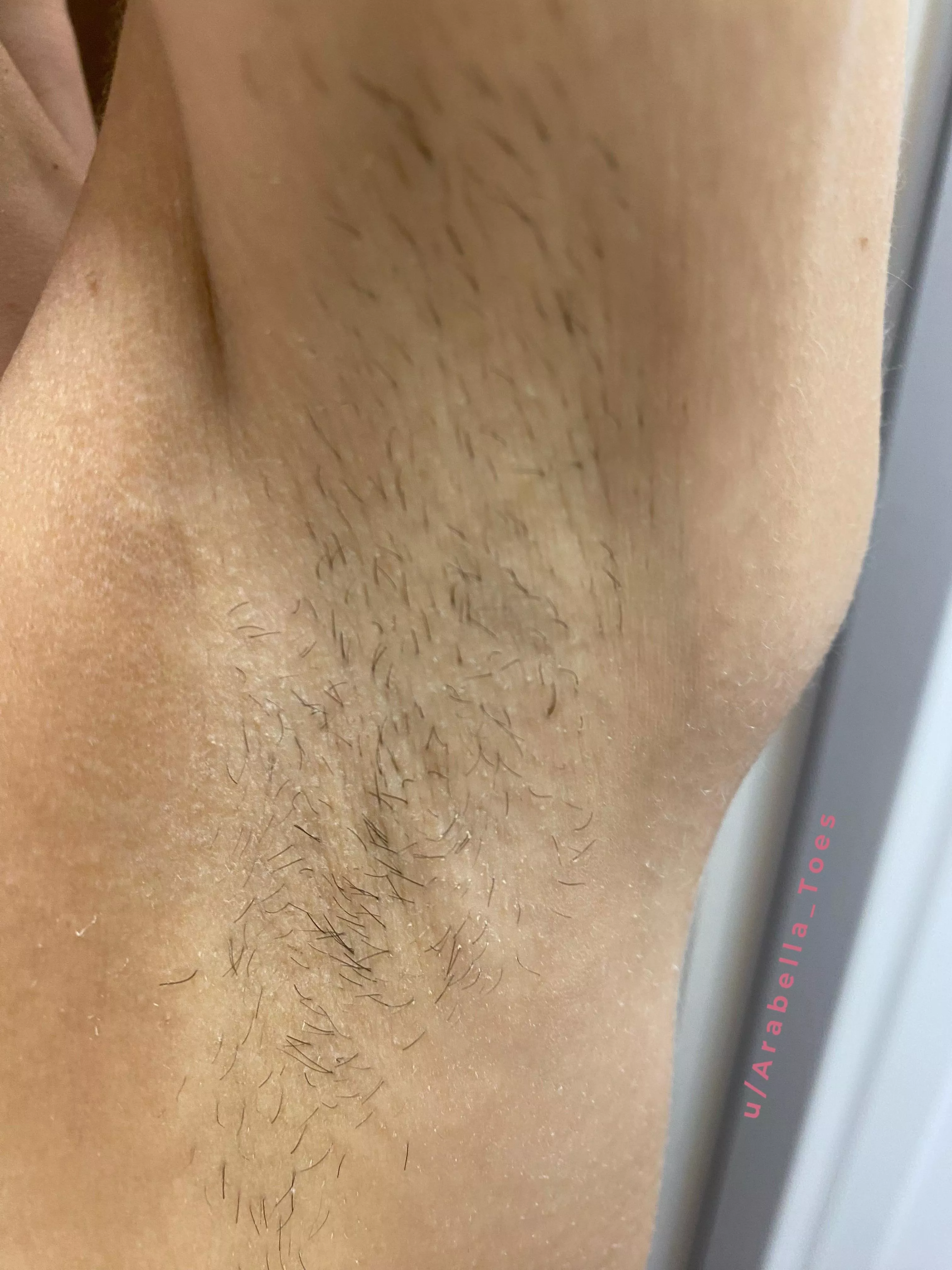 The longest I went without shaving posted by Arabella_Toes