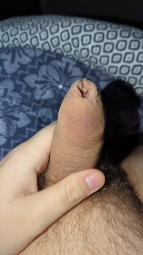 [22] year old looking for guys 18-23 ❤ love small dicks and chubby guys by External_Warthog5379