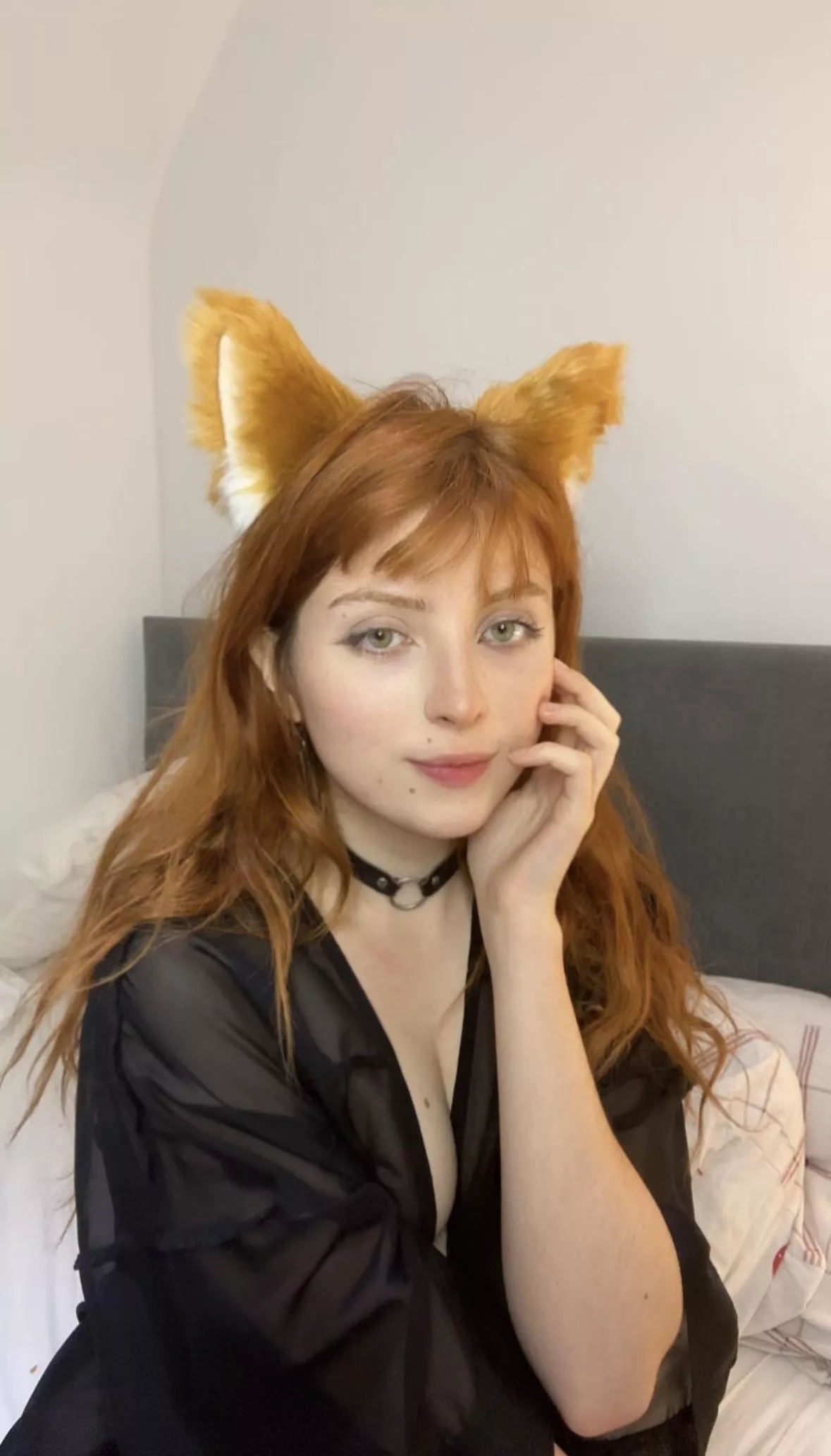 A ginger fox in your bed. Your actions? posted by Dreamyfoxy_