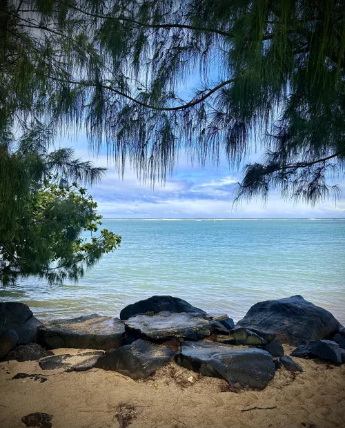 A moment of calm by Electronic_Common931