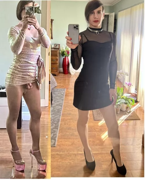 Collared in one Caged in the Other by Lucky-Joke3141