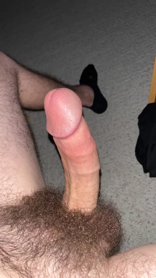 Do you like my hairy Dick and balls? by Powerful_Project195