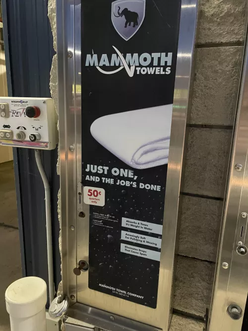 Does anyone else ever see a picture and just think… by woofthefurryboi