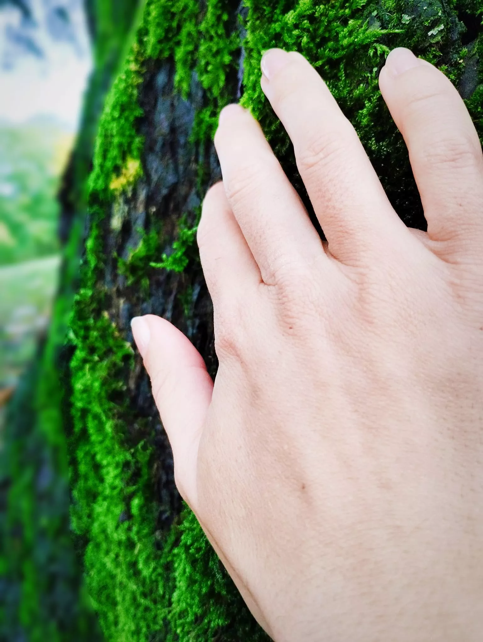 Handling wood posted by Orag16