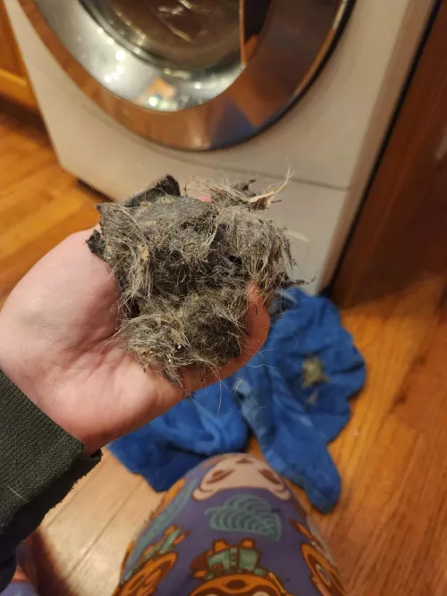 Hey guys, I just pulled this out of my belly button. by SullenSparrow