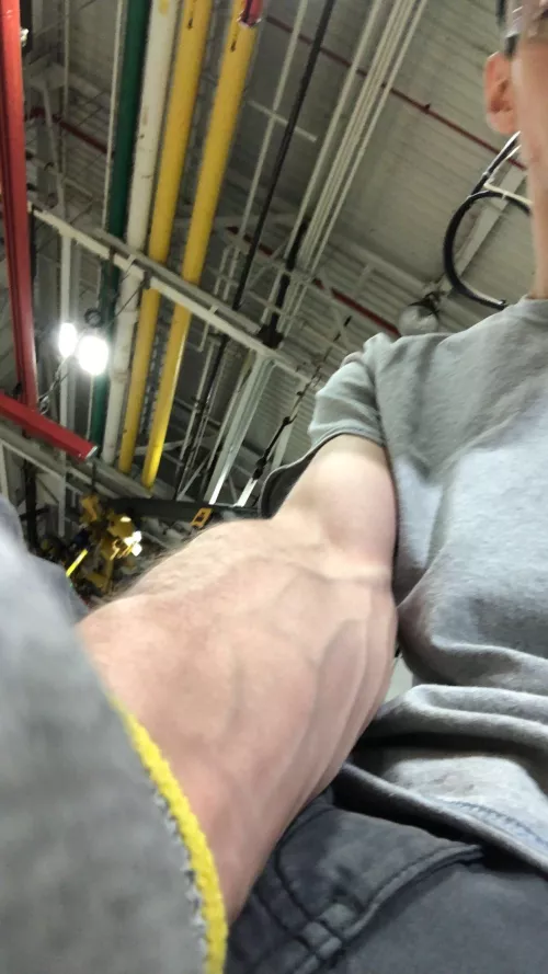 How my arms look all day at work by Desperate_Blood_7334