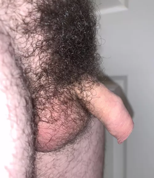 I see your bush and I raise you mine. by coveredpurple