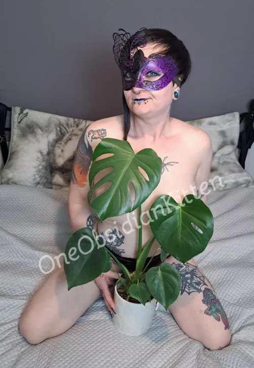 Lucky my plant saved me hehe by OneObsidianKitten