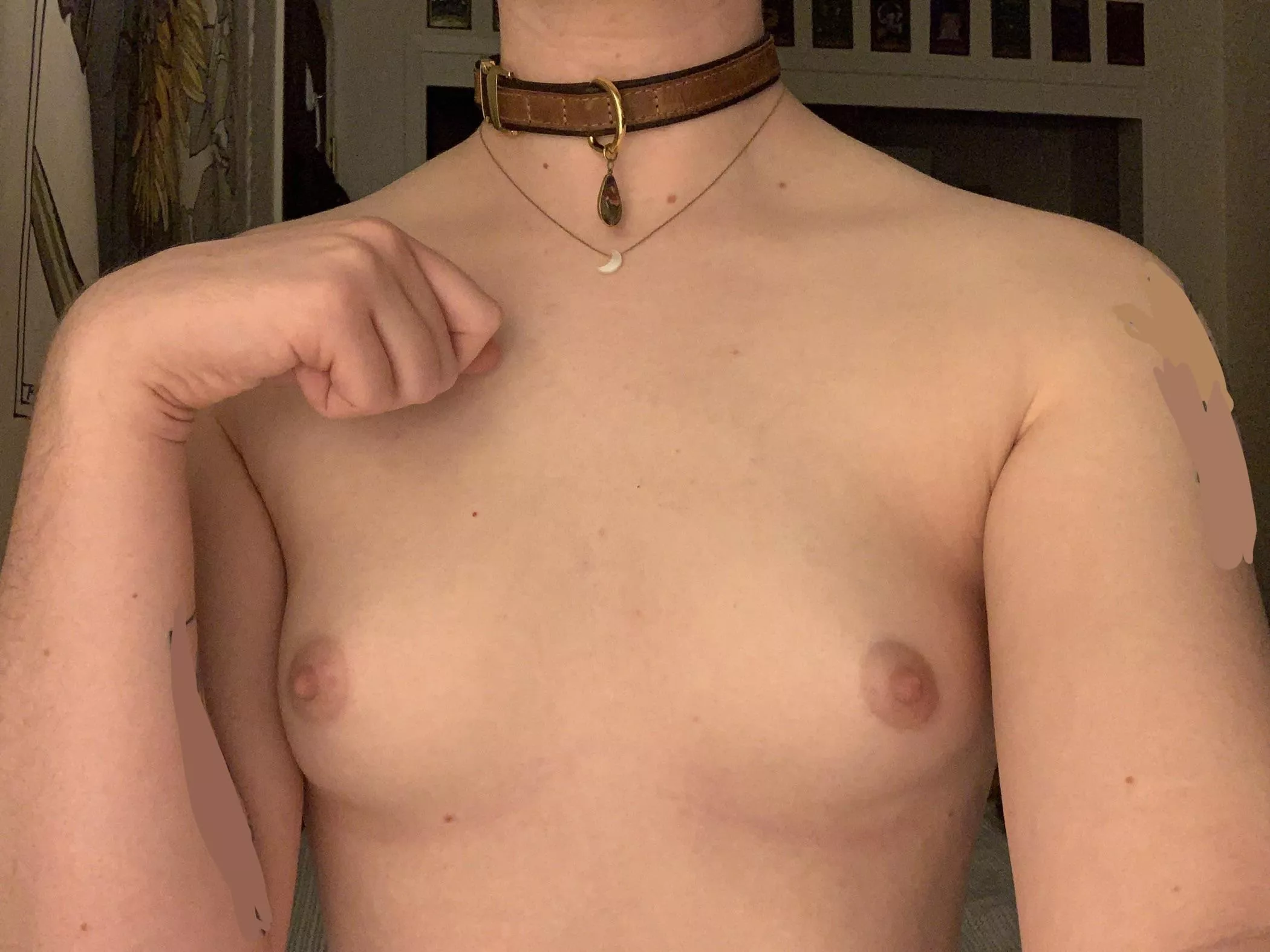 Severely puppypilled posted by elfprince_ftm