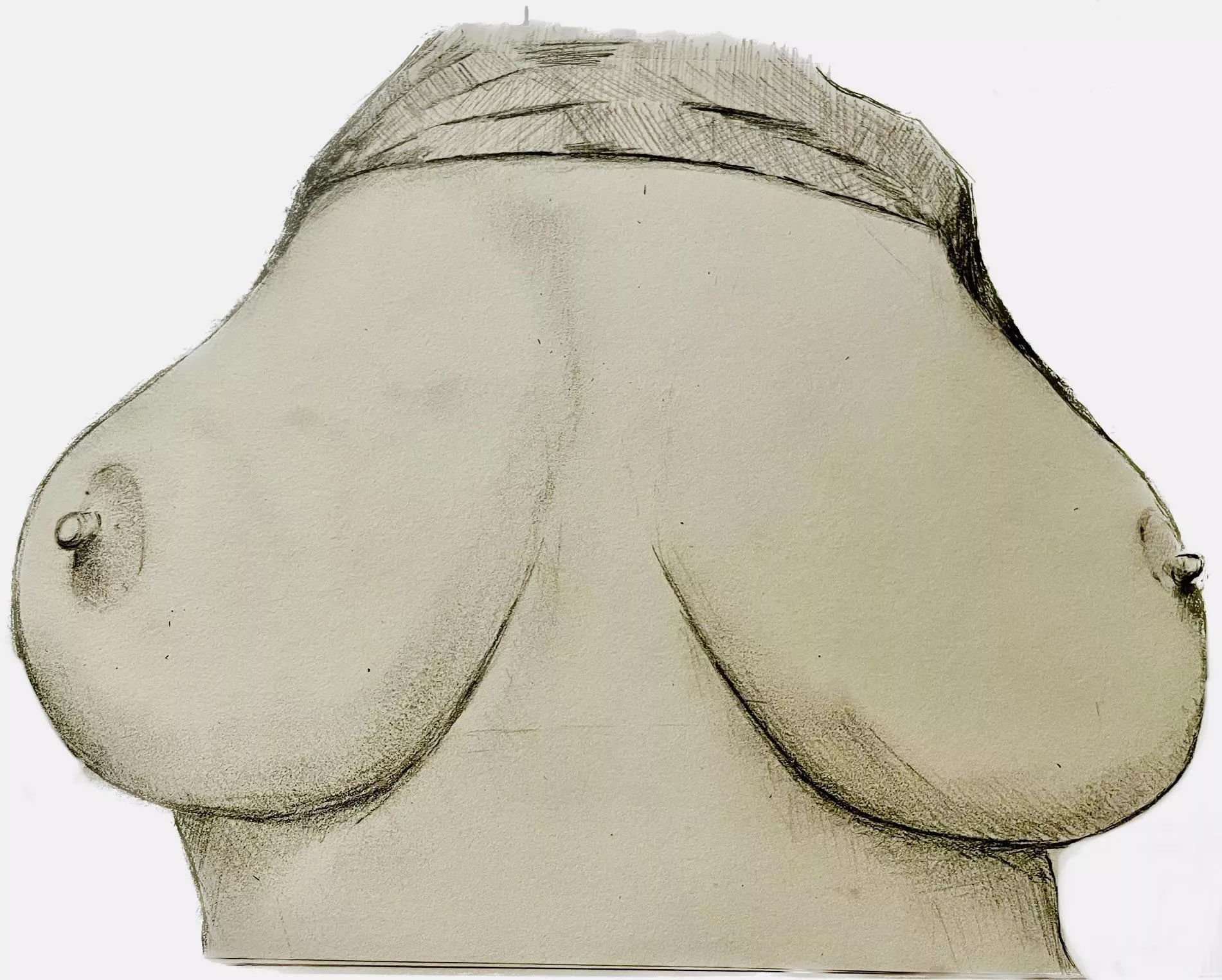 What a mouthful. Request drawn for u/NinjaSausageLord. posted by Ch1nchillaRage_