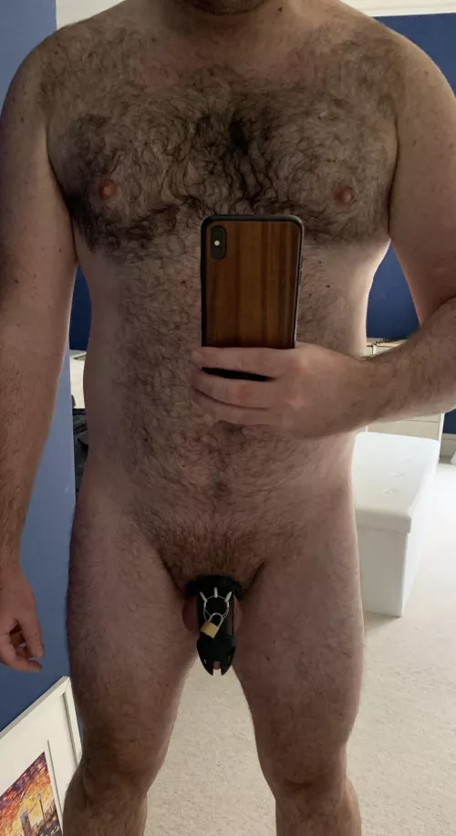 [33] my first steps into a shrinking chastity lifestyle by Pup_RockyUK