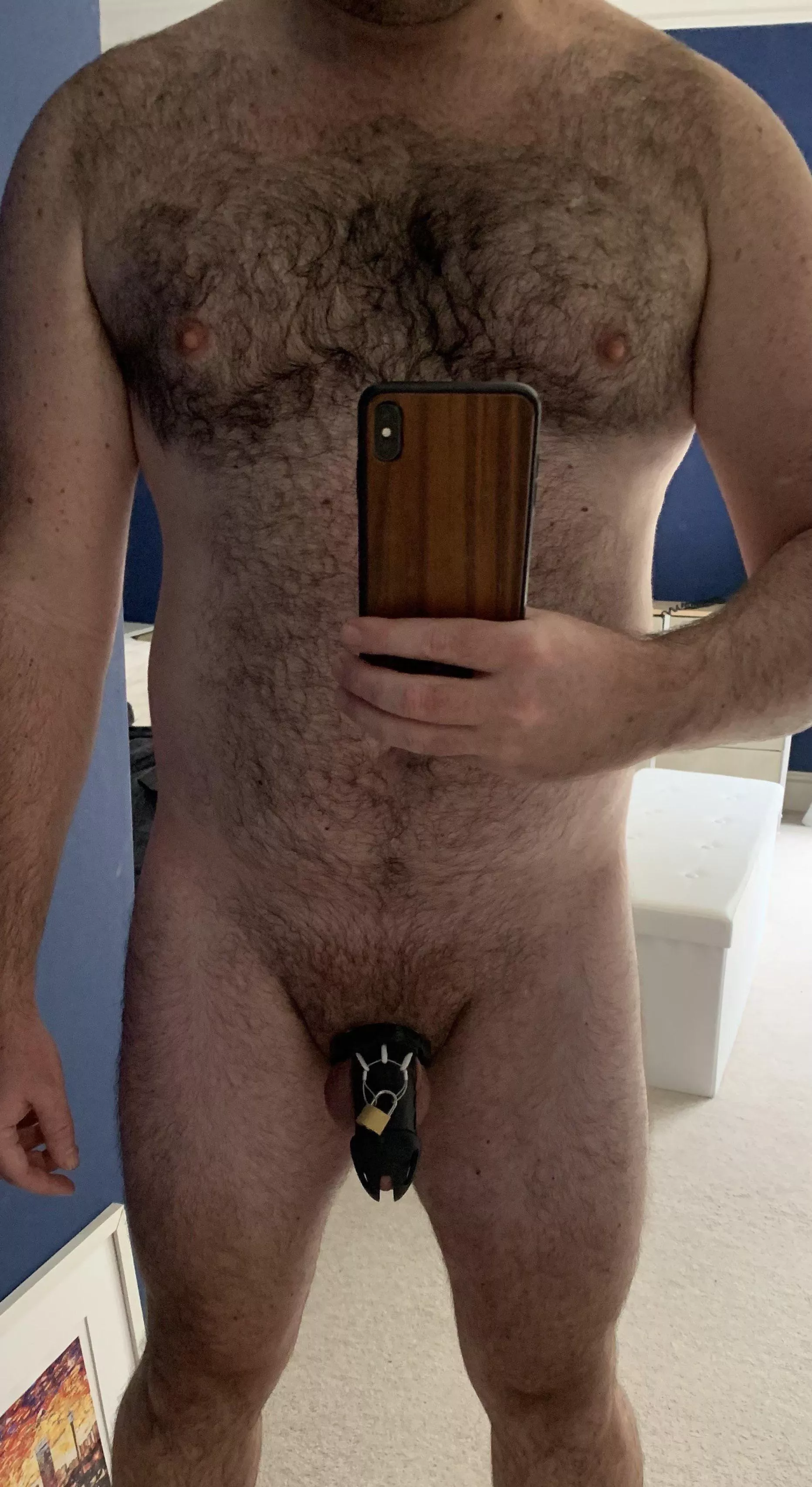 [33] my first steps into a shrinking chastity lifestyle posted by Pup_RockyUK