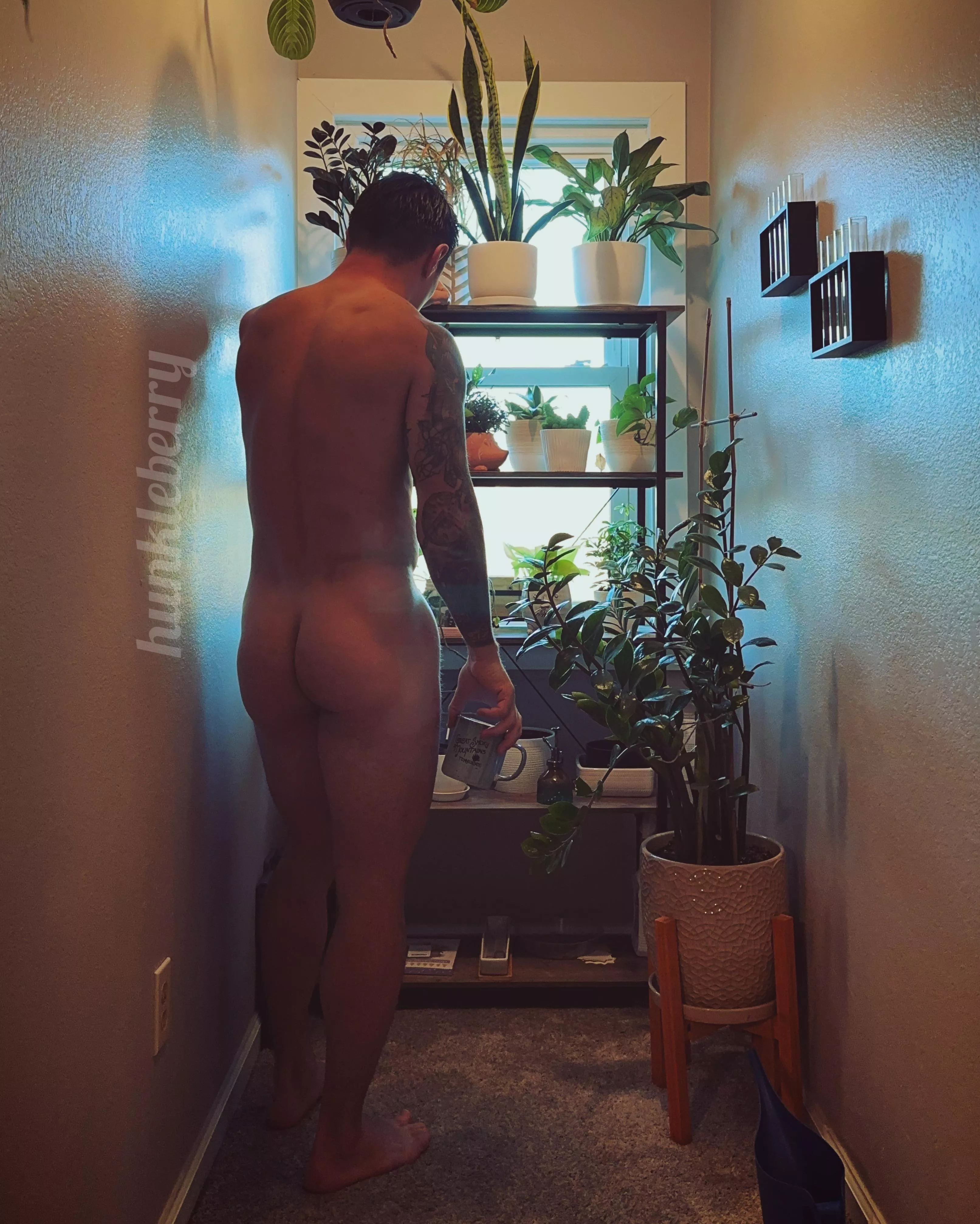 Coffee + Plants posted by im_your_hunkleberry