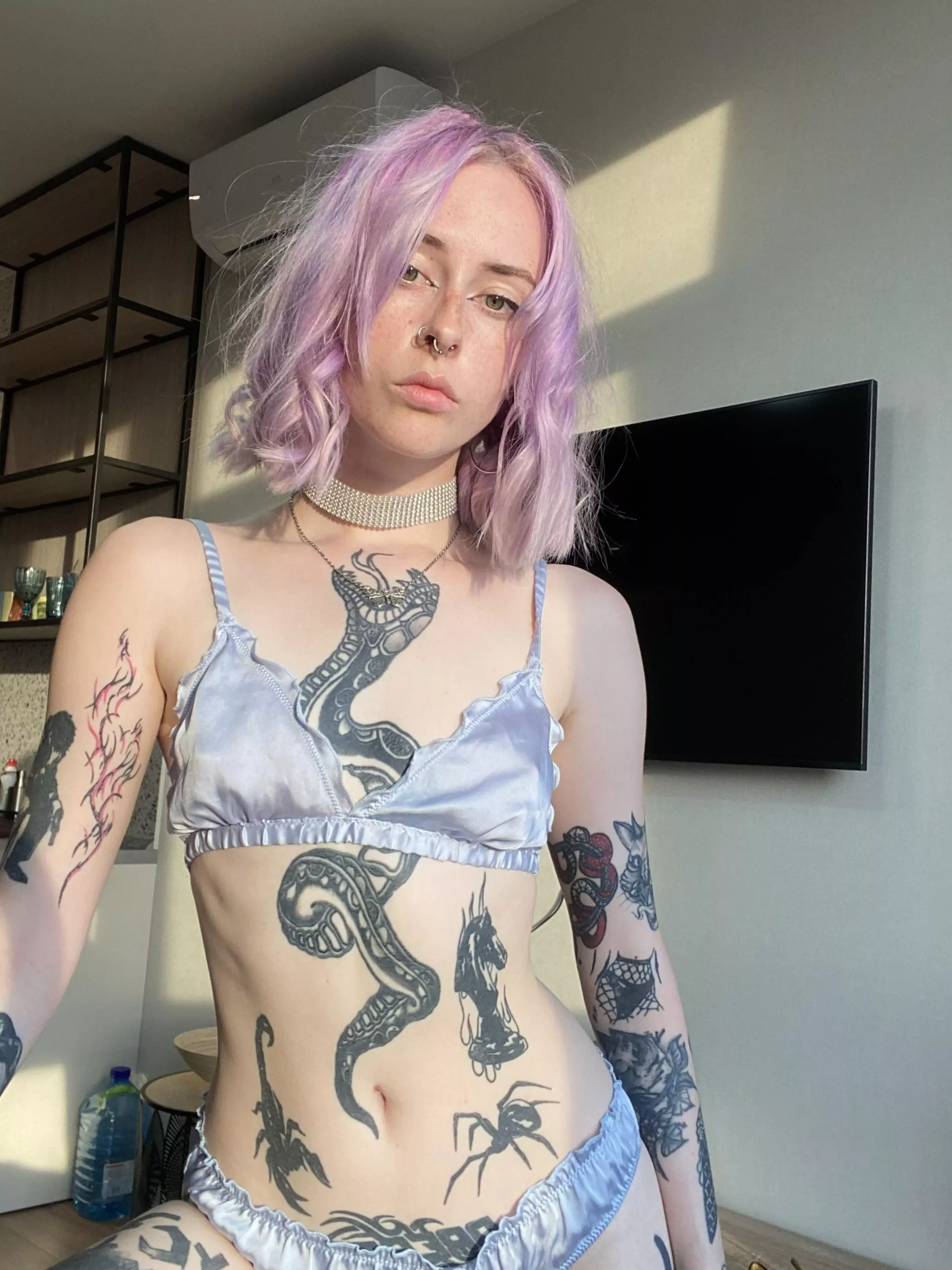 Couch potato or couch playmate? posted by HardReduce679