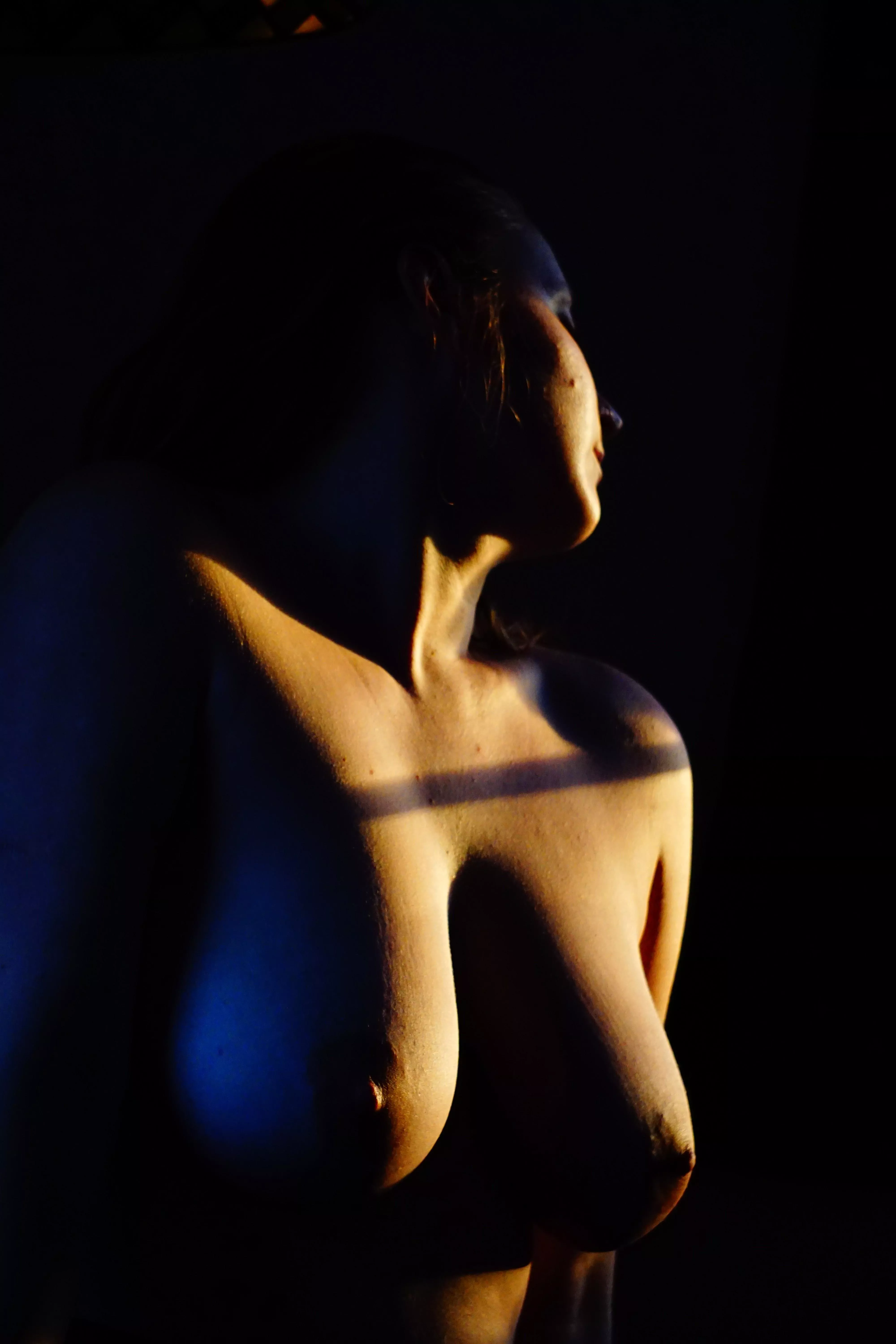 Golden Hour (OC) posted by jupitergundy33309