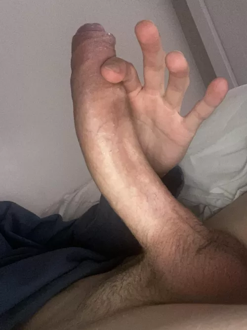 Is it too curved? by Technical_Counter_97