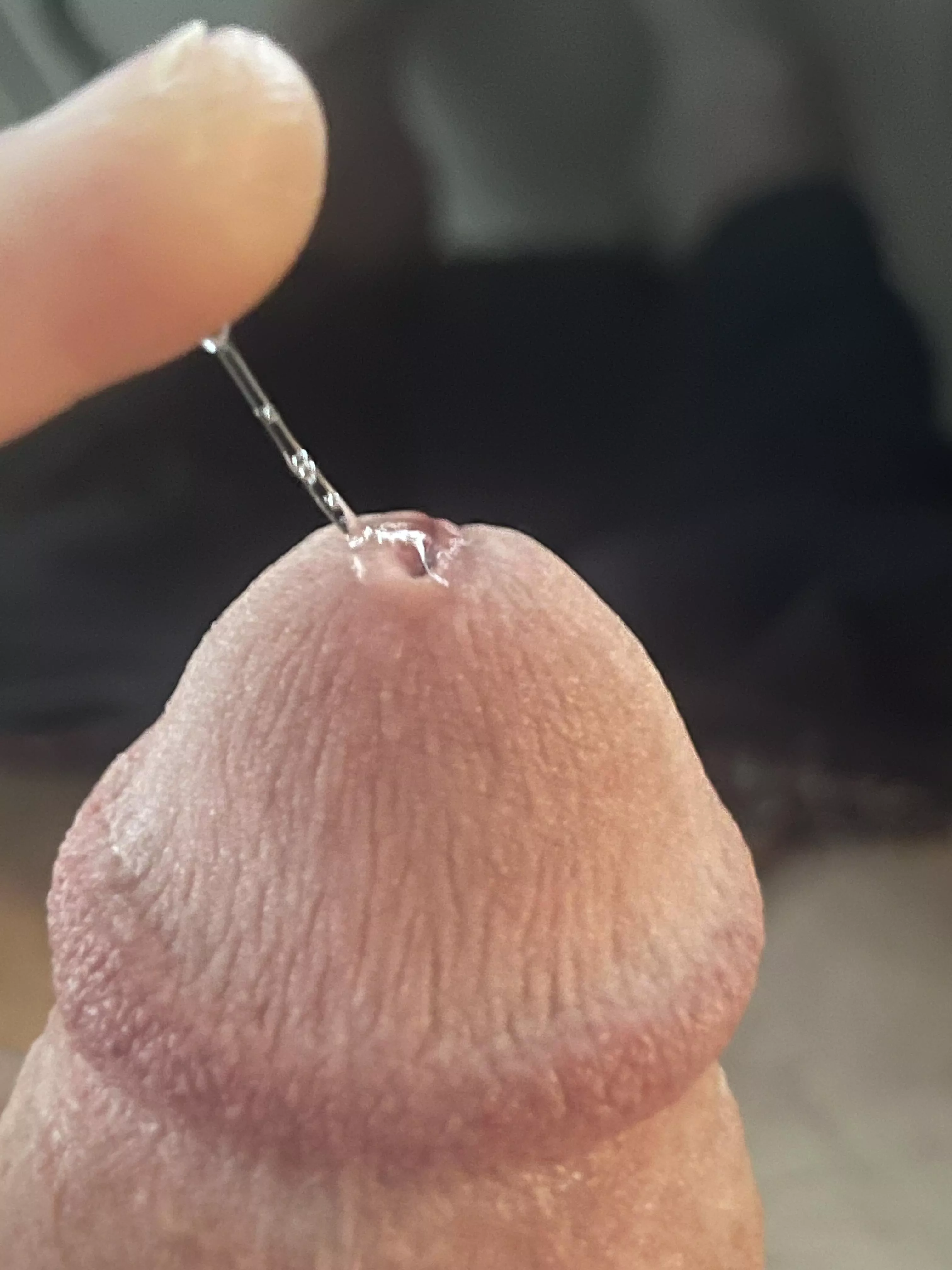 its kind of beautiful, no? posted by Redneck_Jihadist