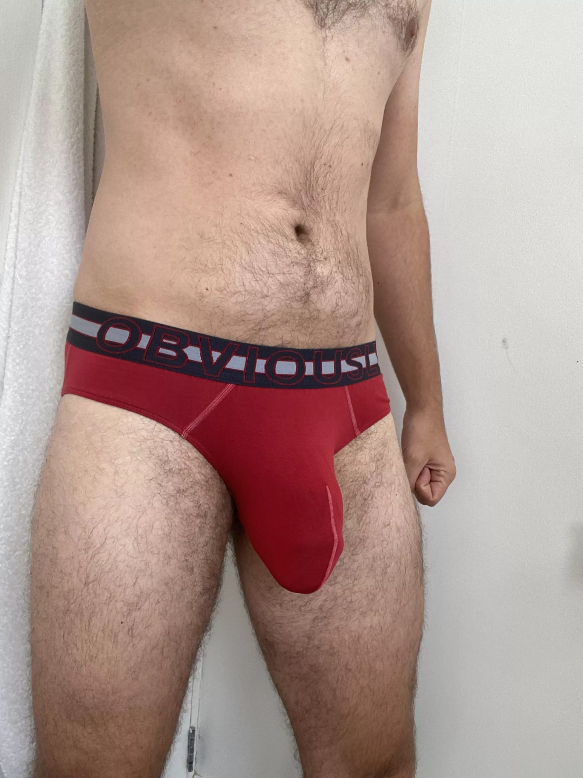 I’ve worn obviously briefs for years. What brand should I try next? posted by greengiantnsfw